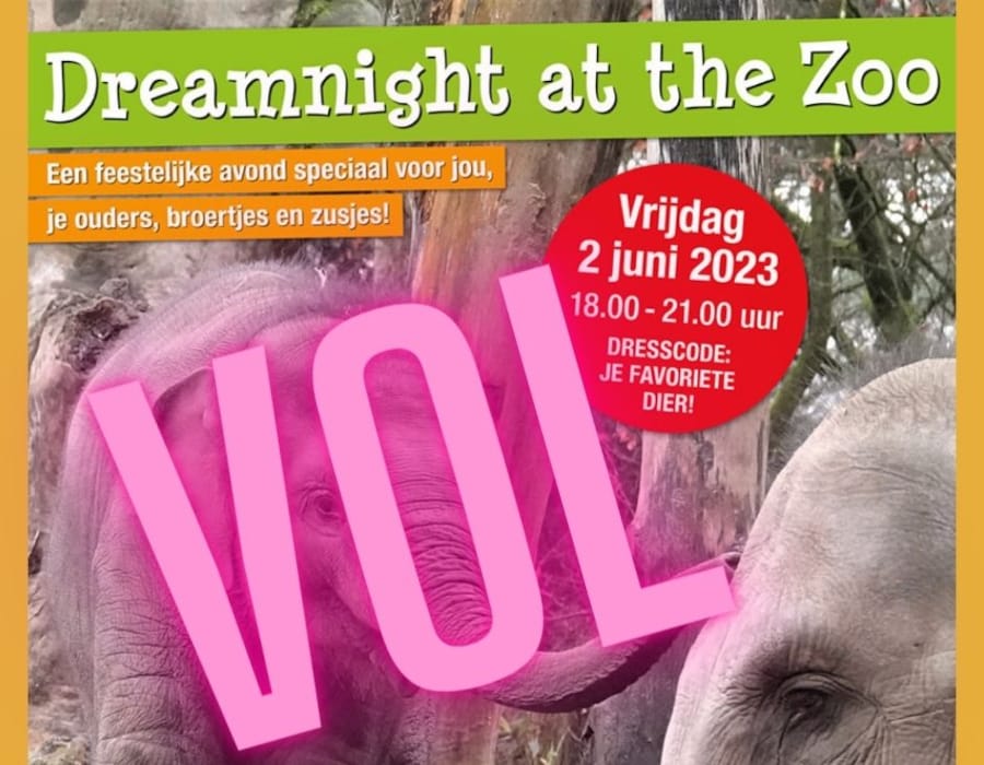 Dreamnight at the zoo